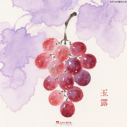 水果的那些古称也太有韵味了