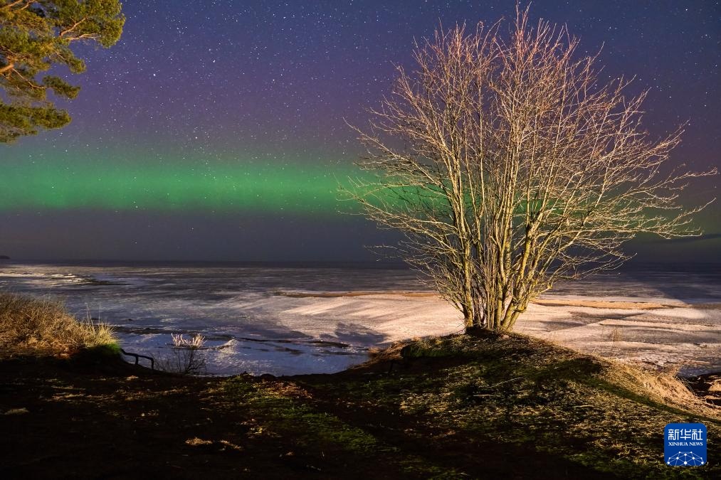 俄罗斯拉多加湖：绚丽极光