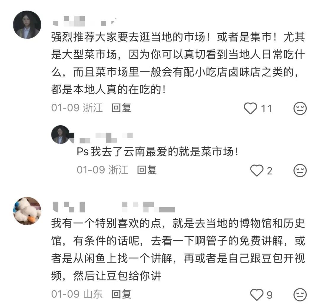 “看！我们从云南搬回了一片叶子！” 网友：你俩取经回来啦？
