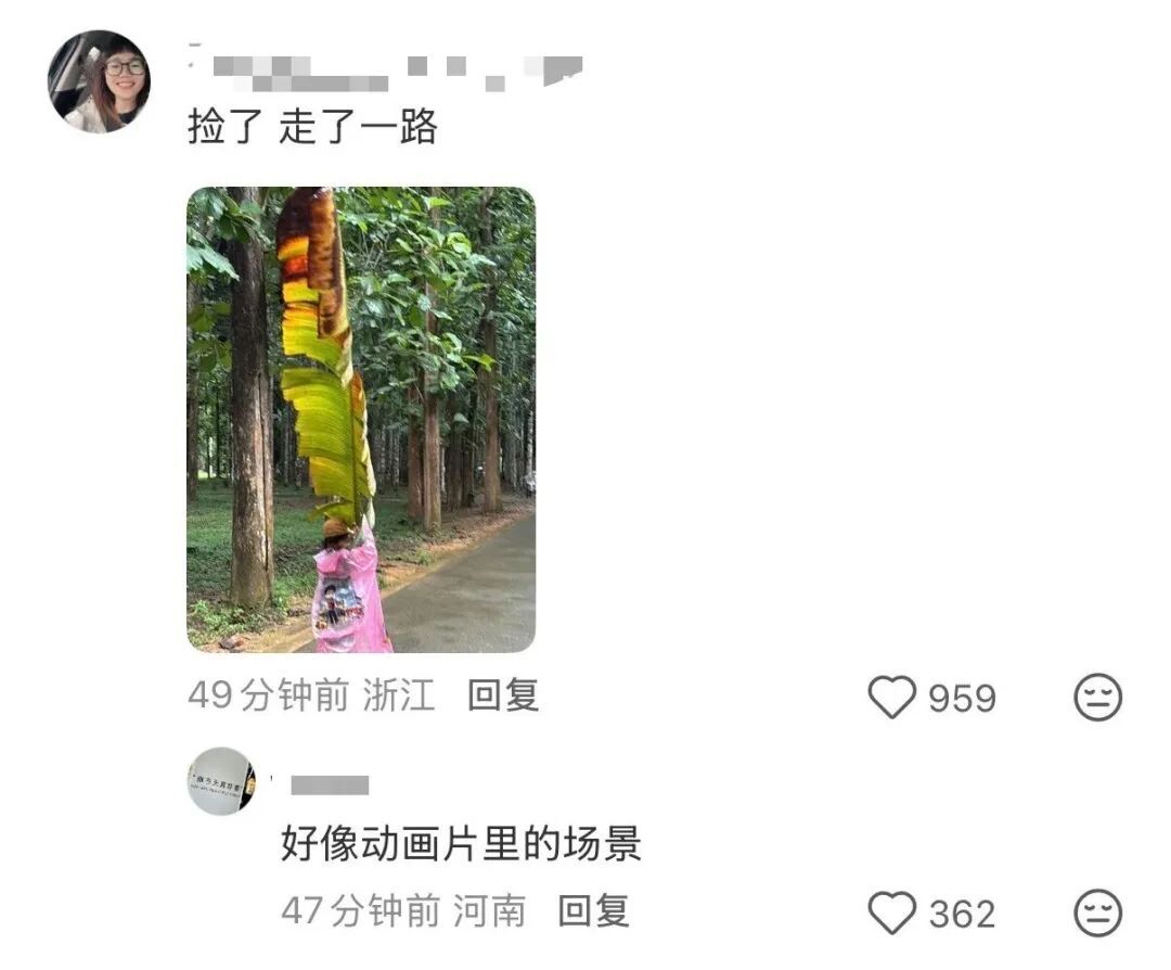 “看！我们从云南搬回了一片叶子！” 网友：你俩取经回来啦？