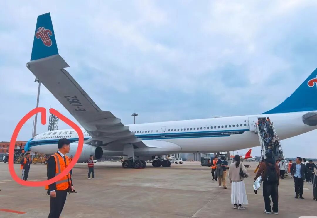 一航班起飞后遭遇鸟击，南航通报