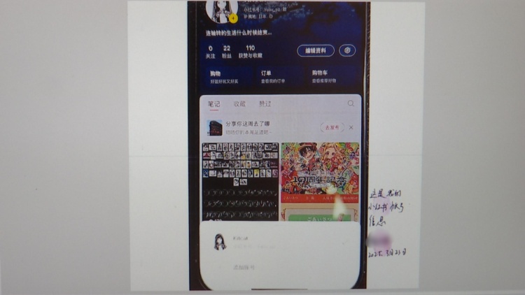 在校生卖“动漫周边”诈骗96万元：有人10天内被骗12万，怀疑过但被蒙蔽继续转账