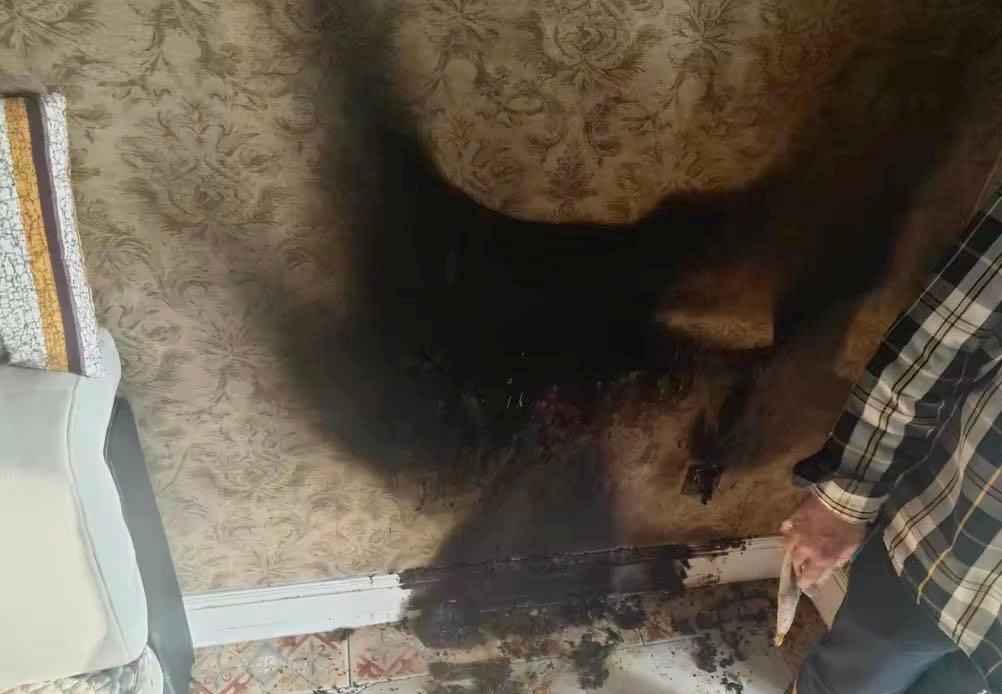 太危险，半夜客厅突发火情！家里的插线板千万别这样用