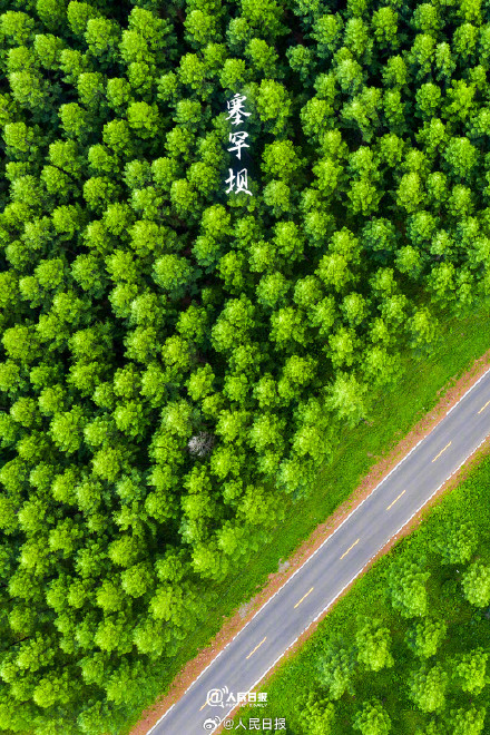 转存！氧气感十足的壁纸