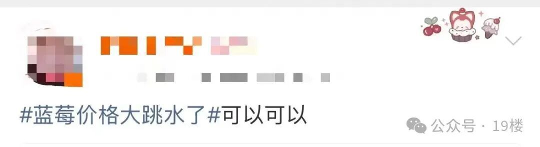 价格腰斩!以前小盒装,现在出现"按桶论斤"卖 价格腰斩!以前小盒装,现在出现"按桶论斤"卖