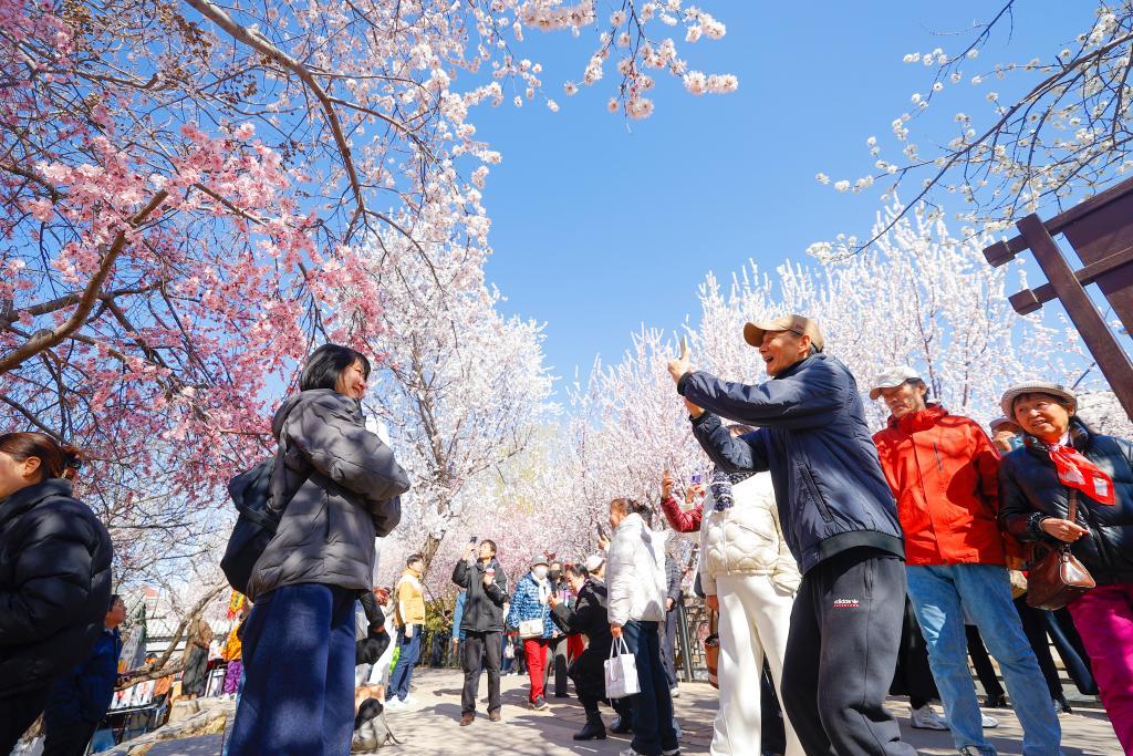 从“赏”到“玩”，春日消费何以“繁花”朵朵？
