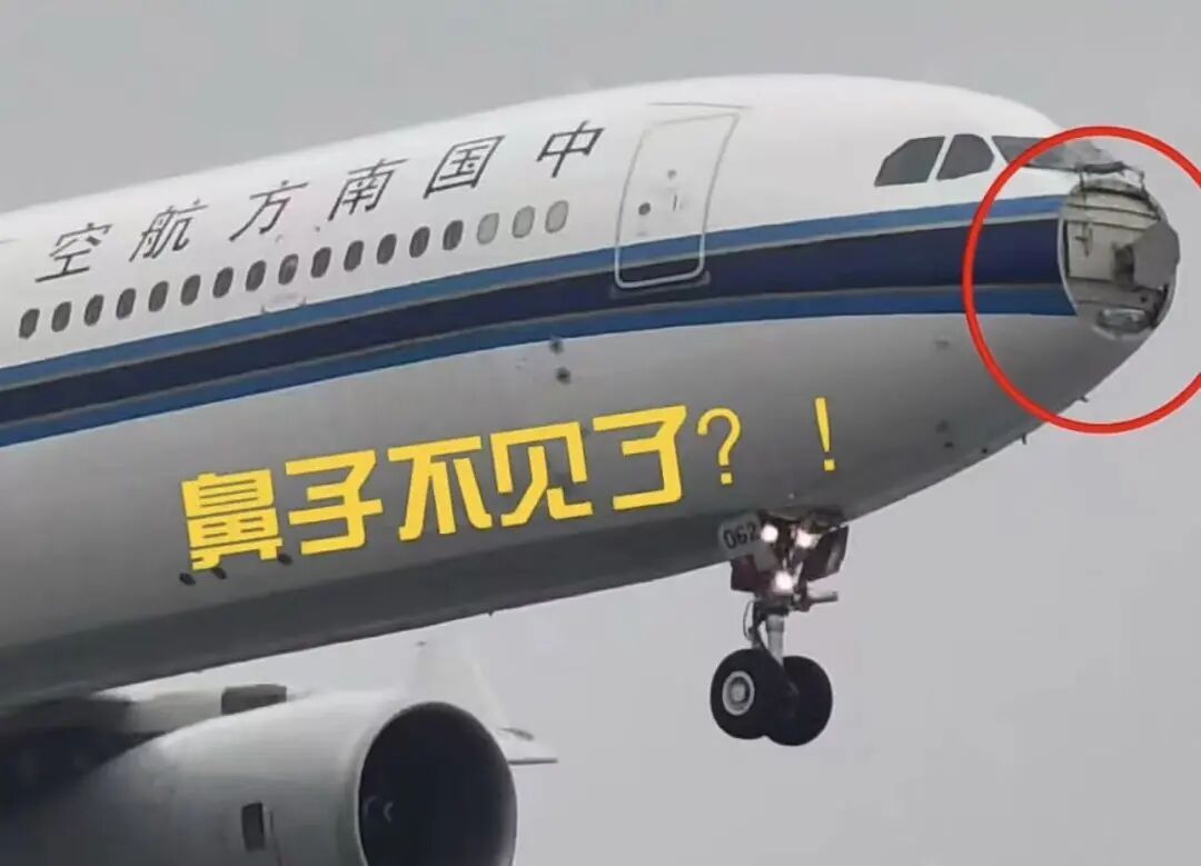 起飞后遭遇鸟击，上海飞深圳一航班紧急返航！整流罩脱落、风挡玻璃破裂……