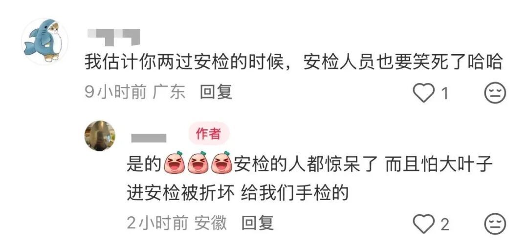 “看！我们从云南搬回了一片叶子！” 网友：你俩取经回来啦？