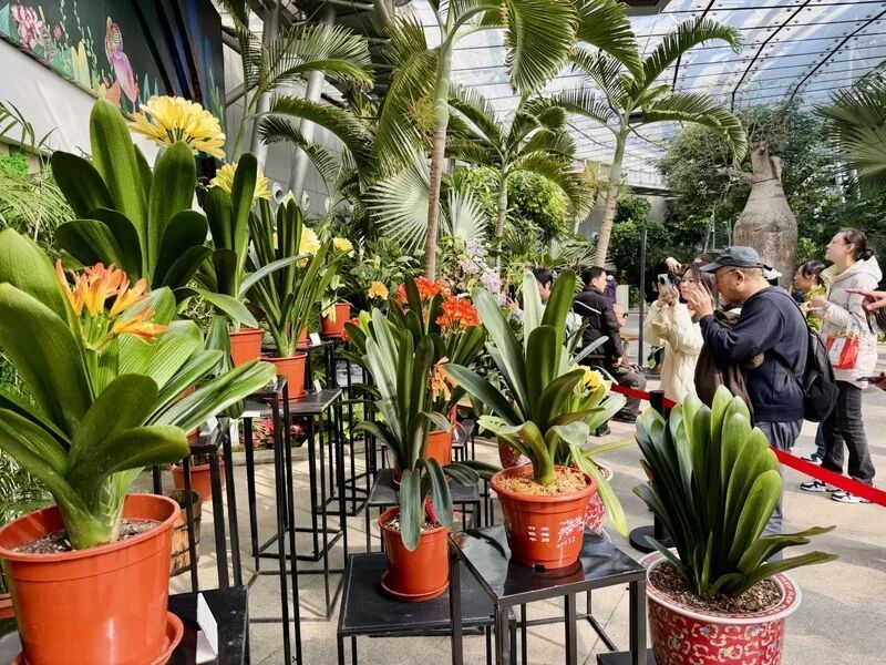 国家植物园的春花排期来了——