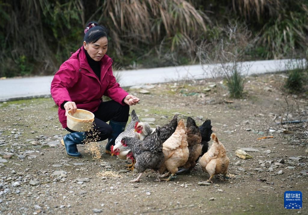 护林三十载 她视山林如家 护林三十载 她视山林如家