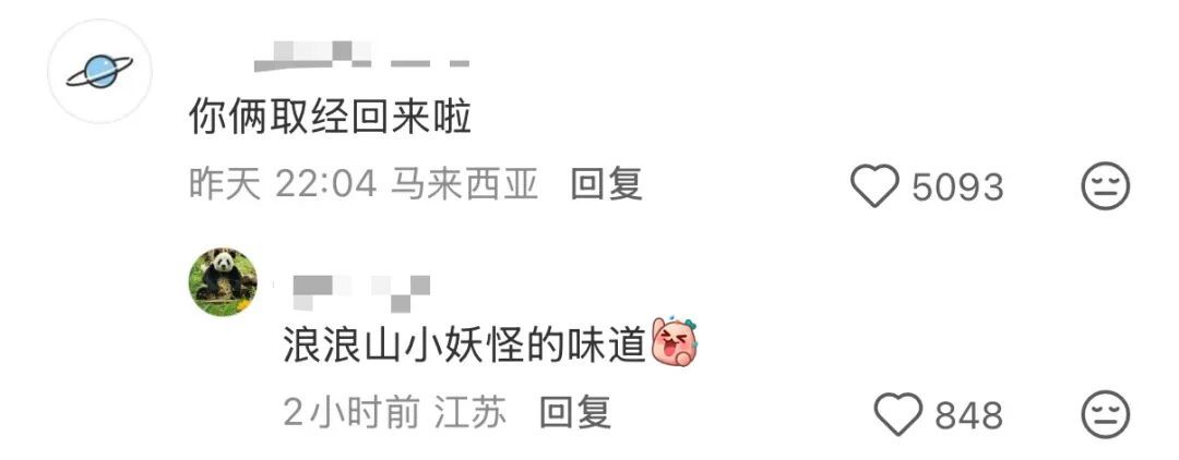 “看！我们从云南搬回了一片叶子！” 网友：你俩取经回来啦？