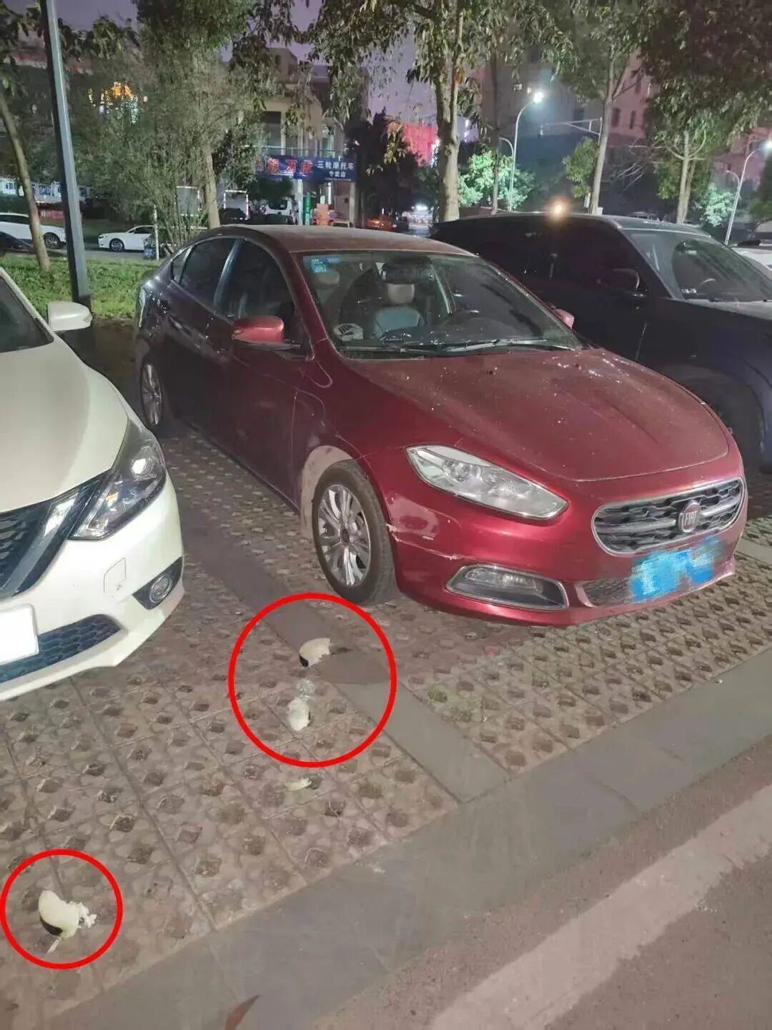 女子和男友吵架，将冬瓜和玉米从22楼扔下