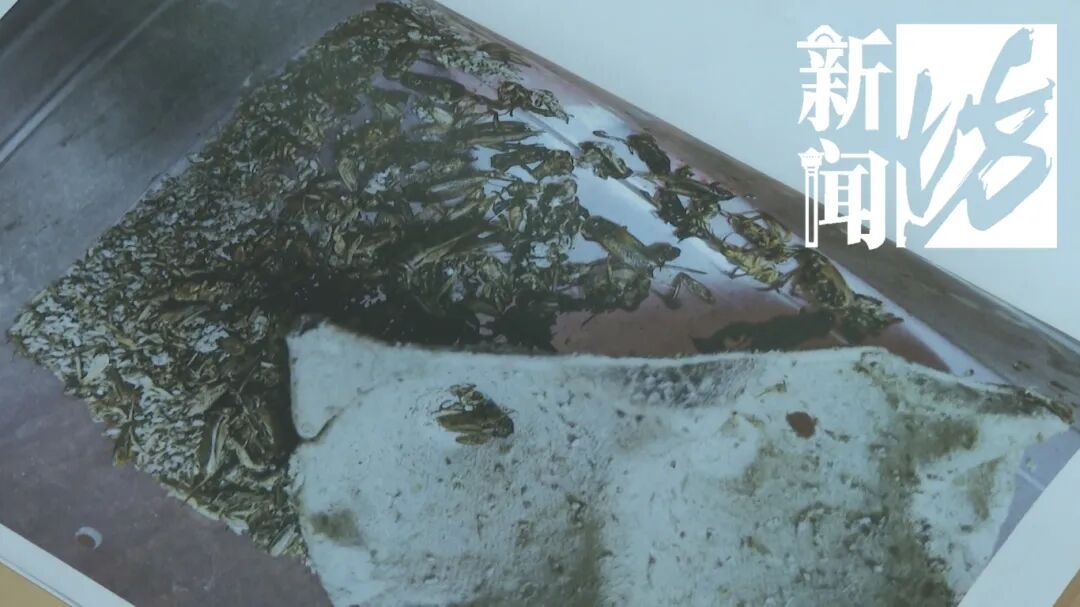 太恶劣！王某被判刑，被捕后毫无悔意：“为啥非揪着我不放”