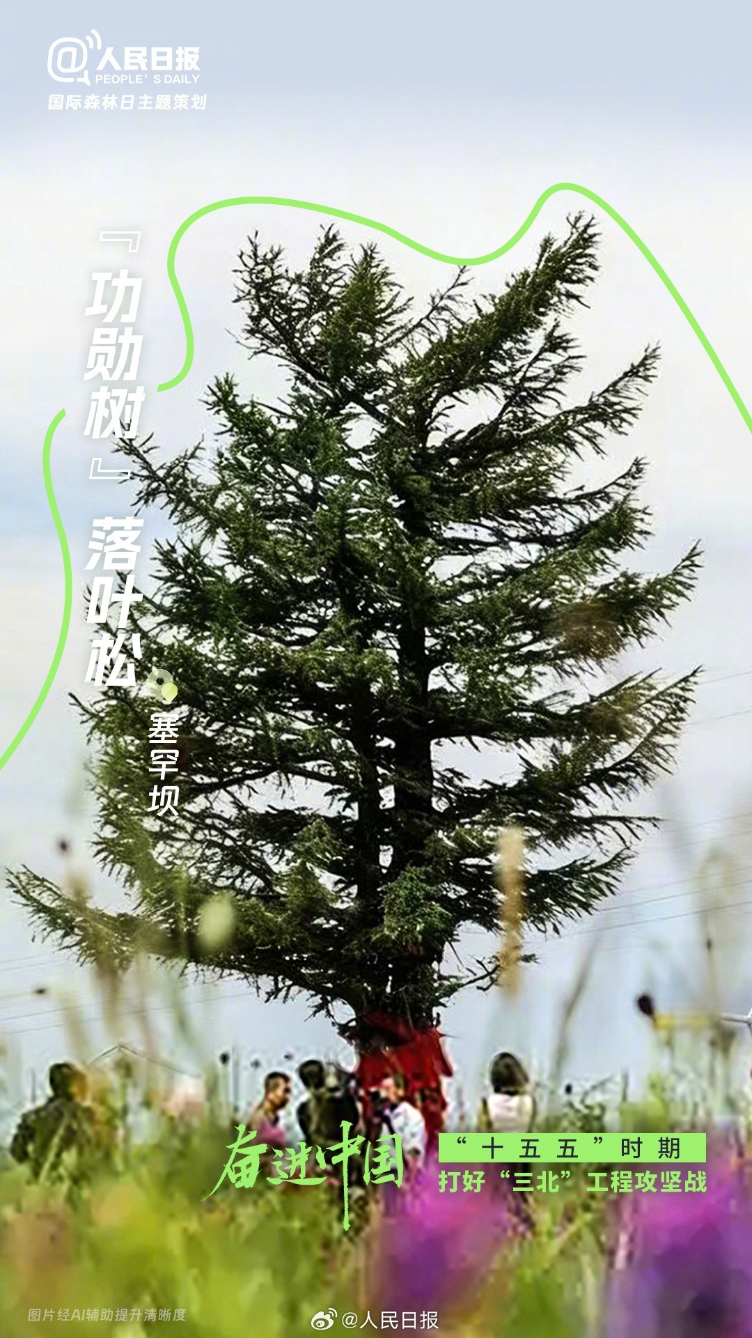 国际森林日:打卡中国森林里的“天赋型选手” 国际森林日:打卡中国森林里的“天赋型选手”