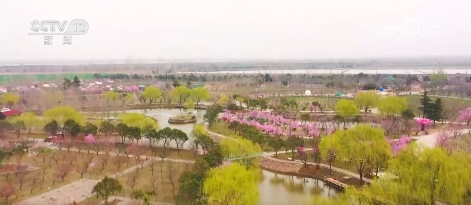 寻春景、游春色,一车畅达!赏花专线让“春日经济”热力十足 寻春景、游春色,一车畅达!赏花专线让“春日经济”热力十足