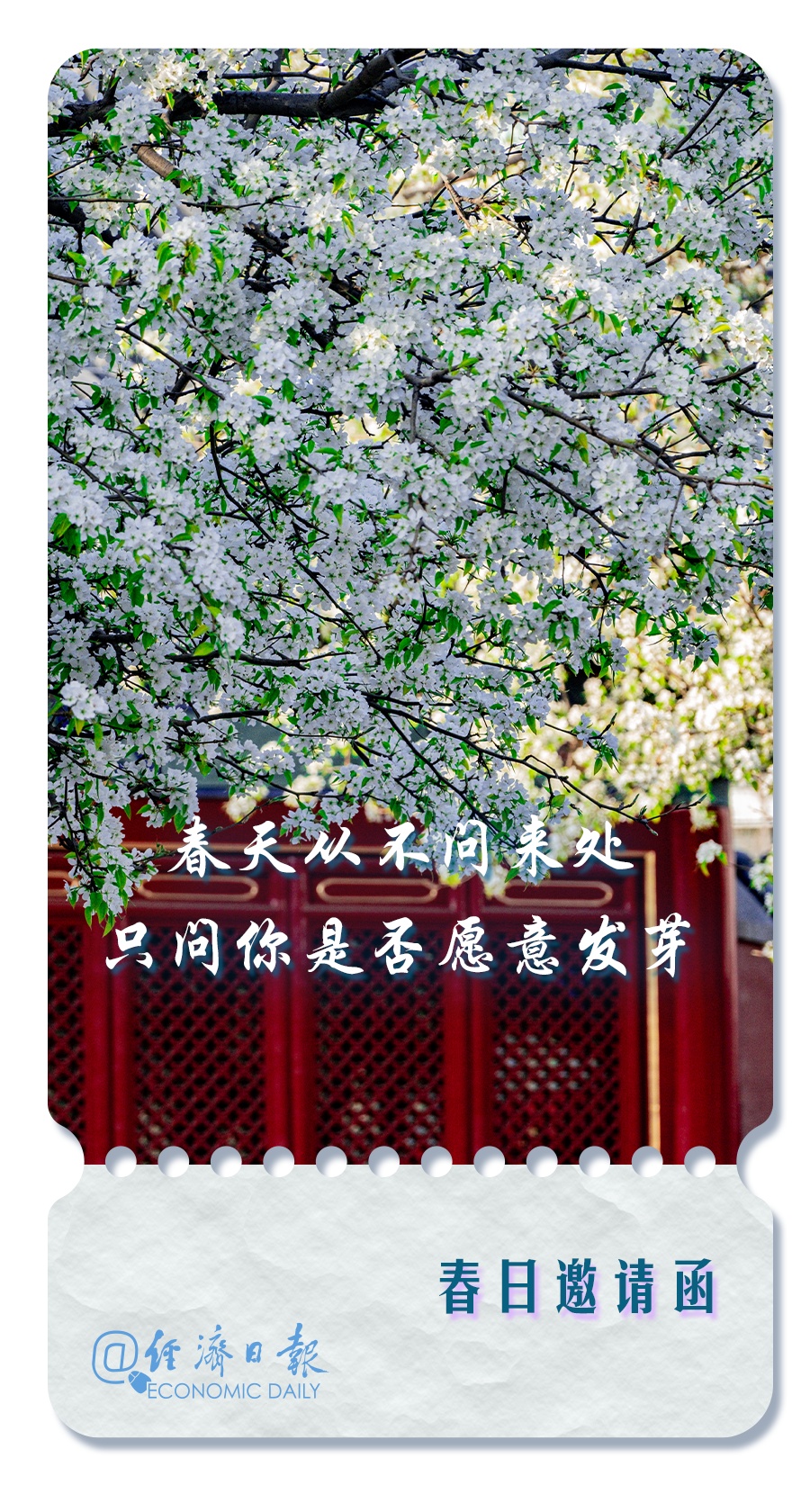 这里有一份春日邀请函