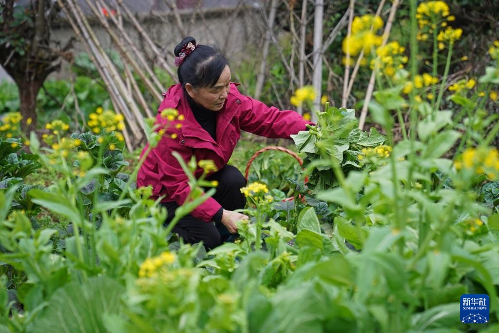 护林三十载 她视山林如家 护林三十载 她视山林如家