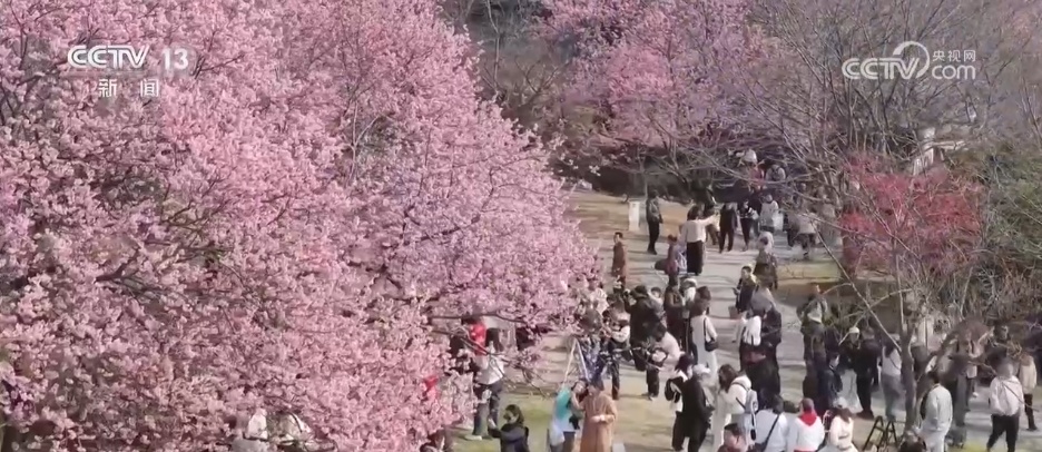 清明假期火车票今起发售 铁路部门“上新”满足旺盛出游需求