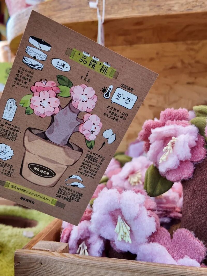 国家植物园的春花排期来了——