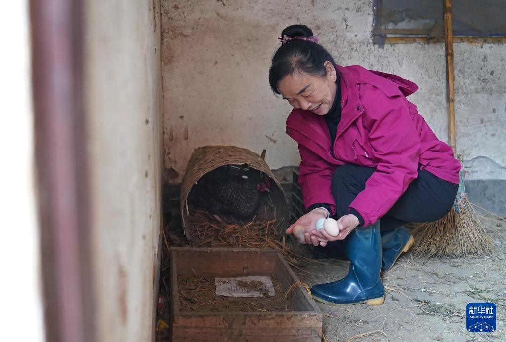 护林三十载 她视山林如家 护林三十载 她视山林如家