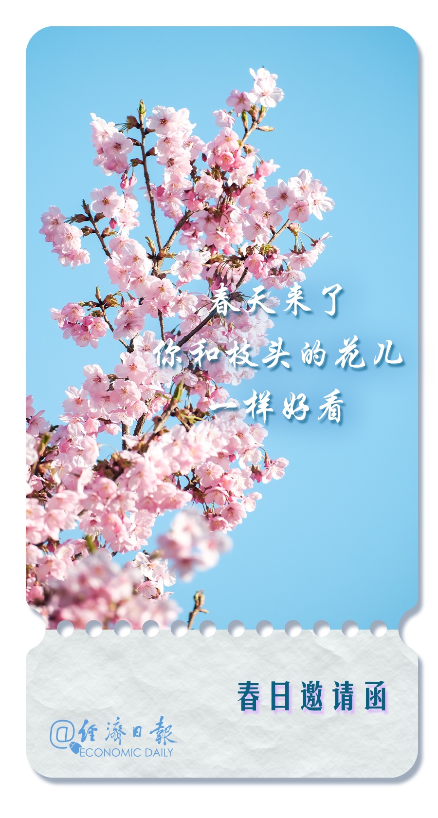 这里有一份春日邀请函