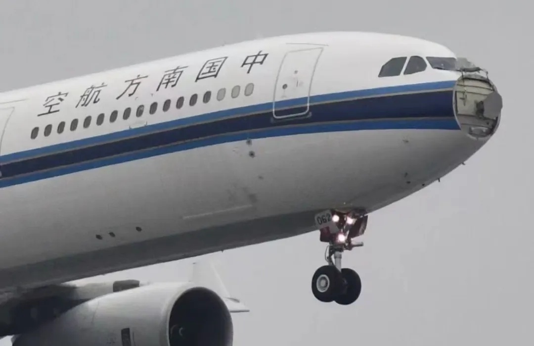 遭遇鸟击！南航一航班紧急返航！乘客：落地一刻“悬着的心才放下”