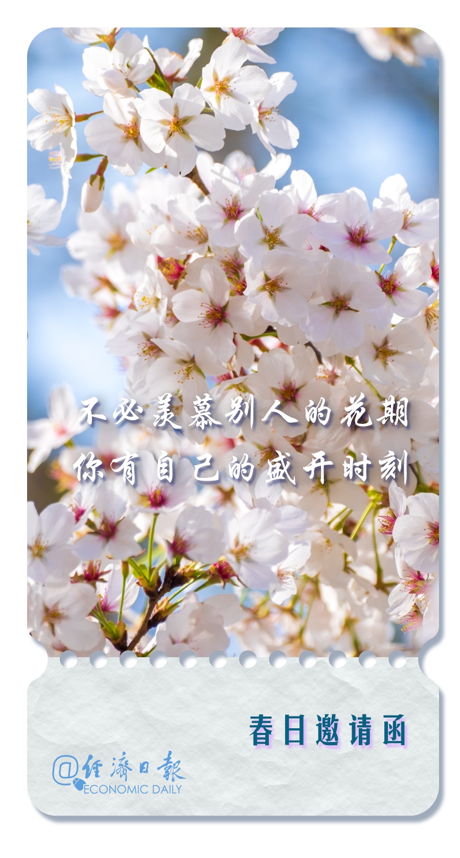 这里有一份春日邀请函