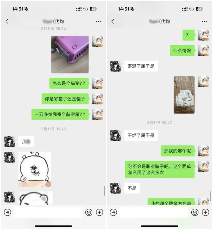 在校生卖“动漫周边”诈骗96万元：有人10天内被骗12万，怀疑过但被蒙蔽继续转账