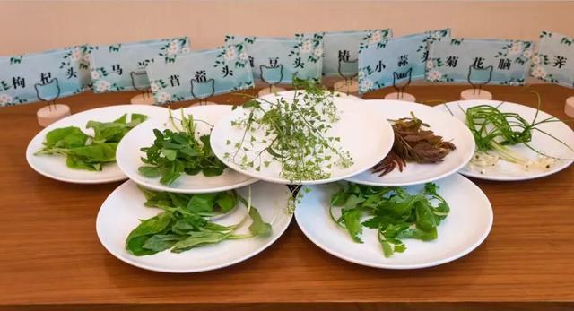 为什么吃蔬菜要多选深色的? 为什么吃蔬菜要多选深色的?