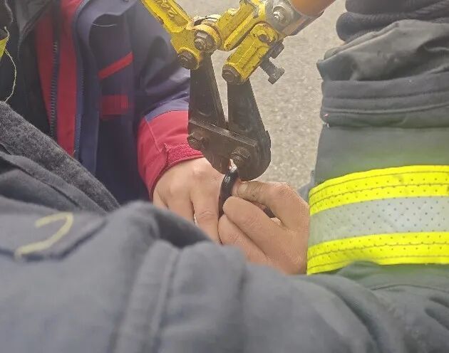 千万别试!这种玩具会“咬手” 检查一下你家孩子有没有 千万别试!这种玩具会“咬手” 检查一下你家孩子有没有