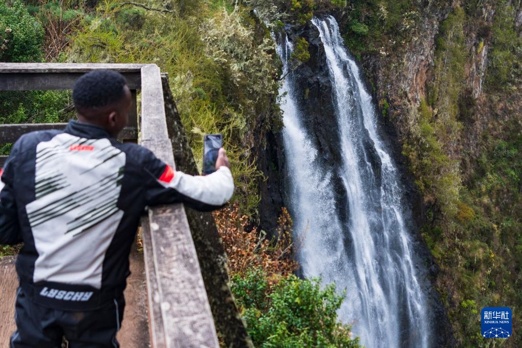 肯尼亚的森林之美 肯尼亚的森林之美