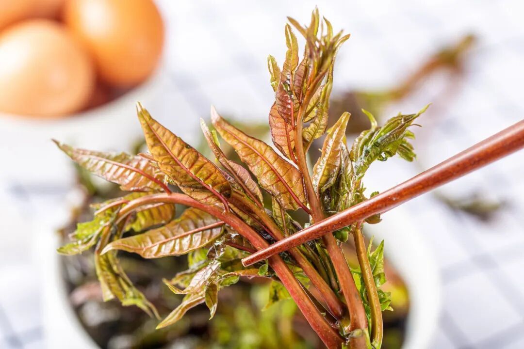 这些有毒植物常被当成“野菜”，已有人中招！