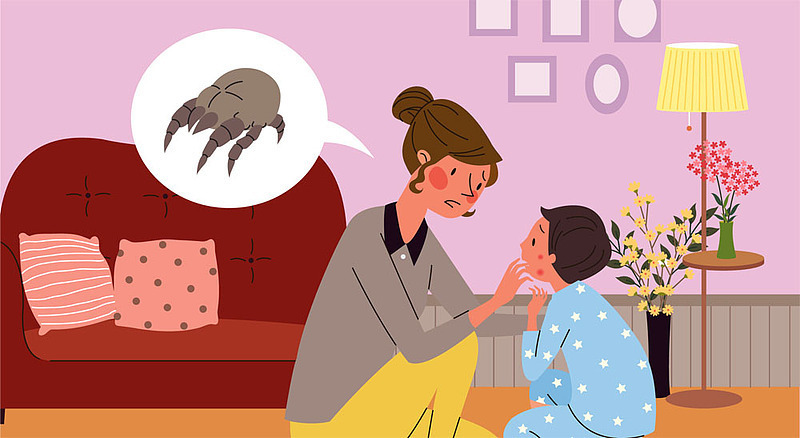 “春季除螨大作战” 用这5招轻松搞定 “春季除螨大作战” 用这5招轻松搞定