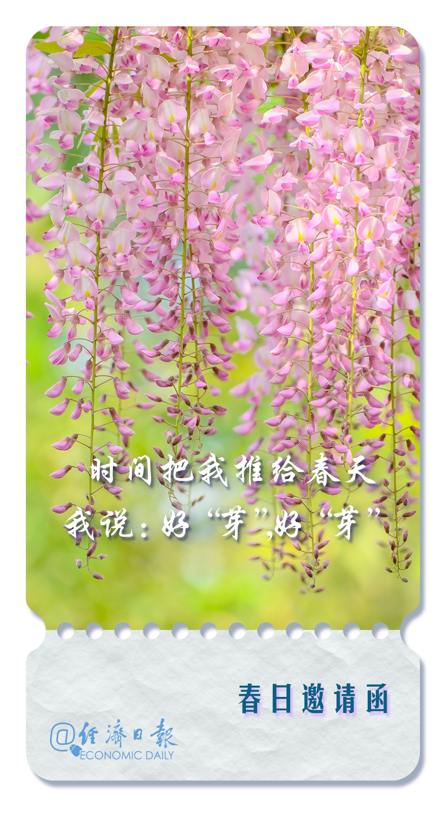 这里有一份春日邀请函