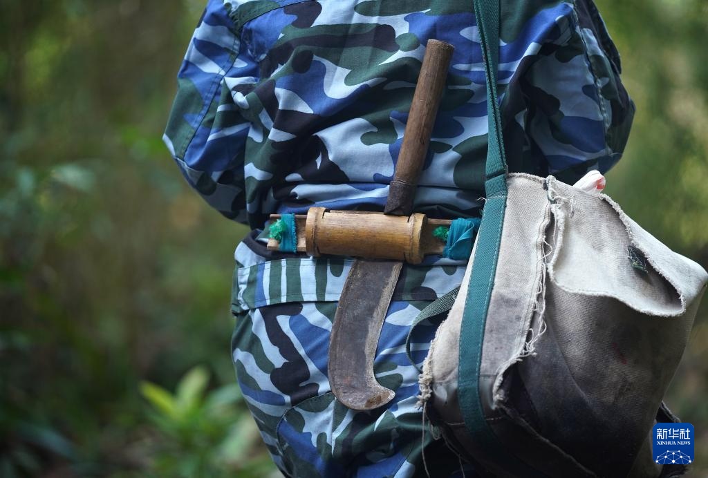 护林三十载 她视山林如家 护林三十载 她视山林如家