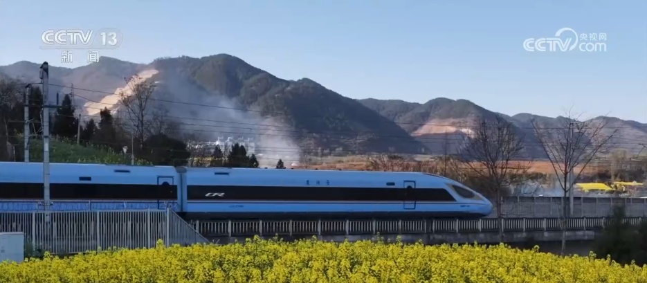 寻春景、游春色,一车畅达!赏花专线让“春日经济”热力十足 寻春景、游春色,一车畅达!赏花专线让“春日经济”热力十足