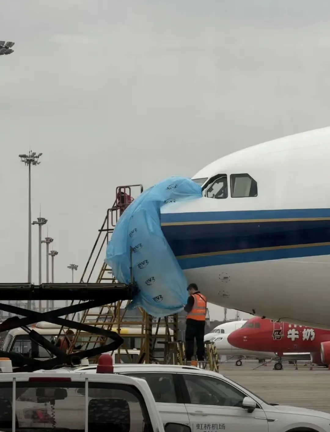 遭遇鸟击！南航一航班紧急返航！乘客：落地一刻“悬着的心才放下”