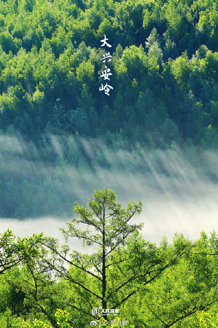 转存！氧气感十足的壁纸