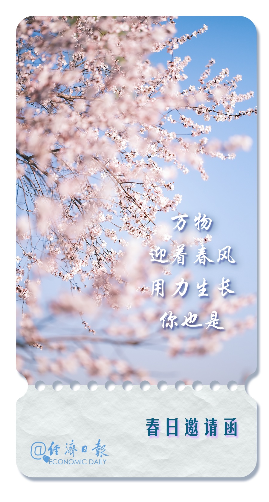 这里有一份春日邀请函