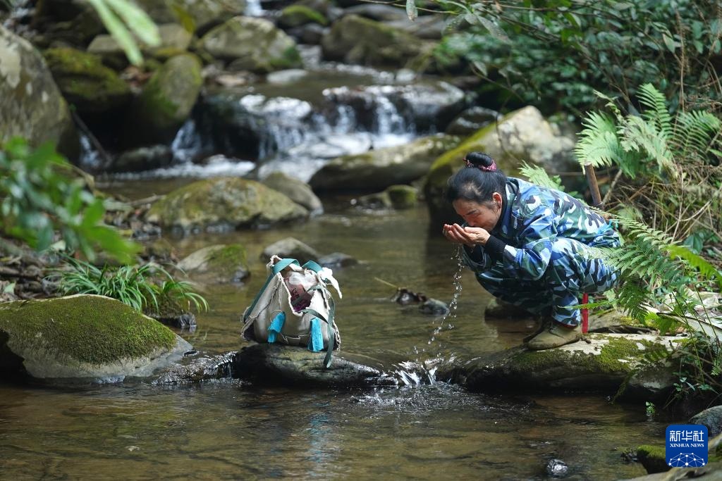 护林三十载 她视山林如家 护林三十载 她视山林如家