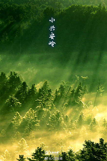 转存！氧气感十足的壁纸