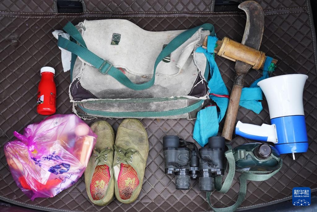 护林三十载 她视山林如家 护林三十载 她视山林如家