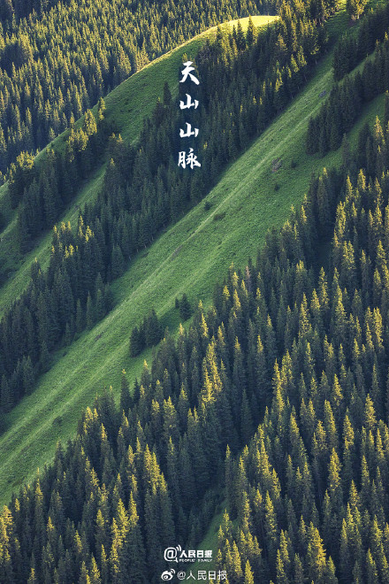 转存！氧气感十足的壁纸