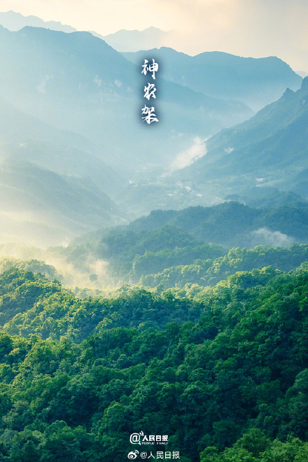 转存！氧气感十足的壁纸