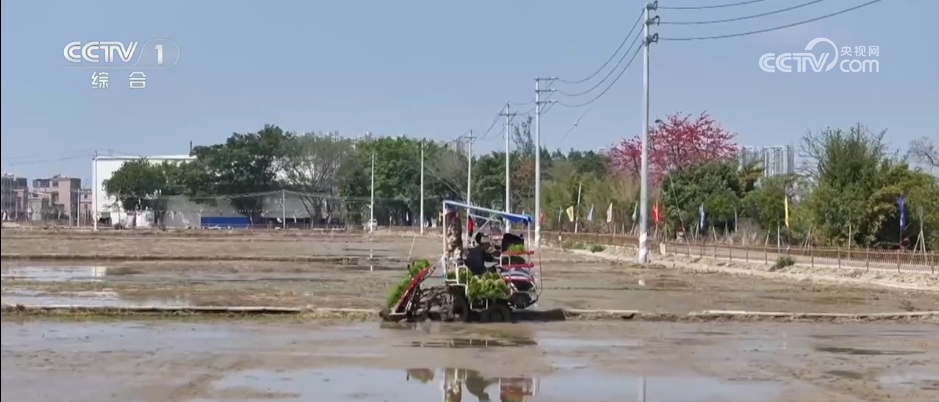 新质生产力绘就生动“科技春耕图” 智慧农业筑牢夏粮丰收基础