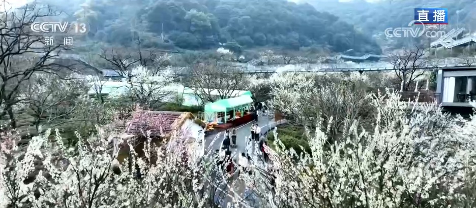 “一朵春花”串联起乡村文旅新业态 春日限定美景激活乡村经济“一池春水” “一朵春花”串联起乡村文旅新业态 春日限定美景激活乡村经济“一池春水”