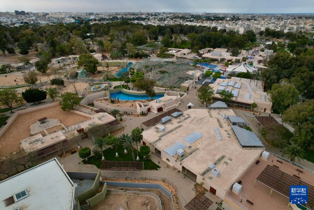 利比亚的黎波里动物园重新开放 利比亚的黎波里动物园重新开放