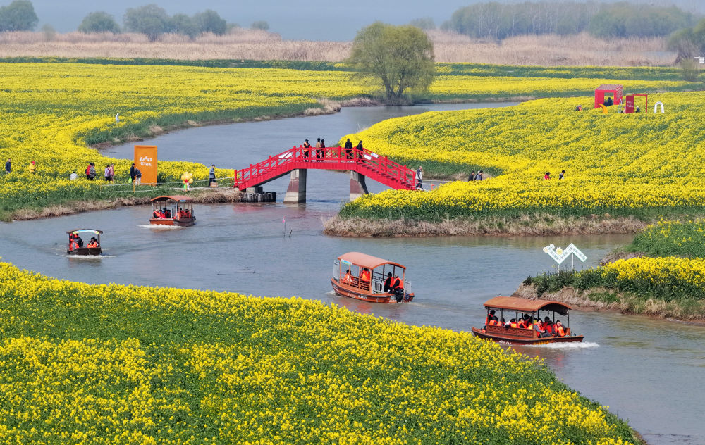 早春的花,为啥多数是黄色的? 早春的花,为啥多数是黄色的?