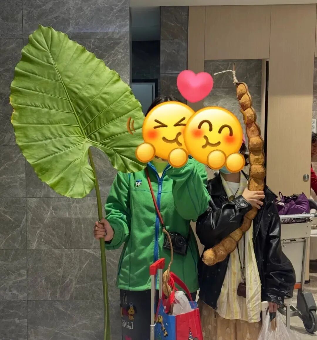 “看！我们从云南搬回了一片叶子！” 网友：你俩取经回来啦？