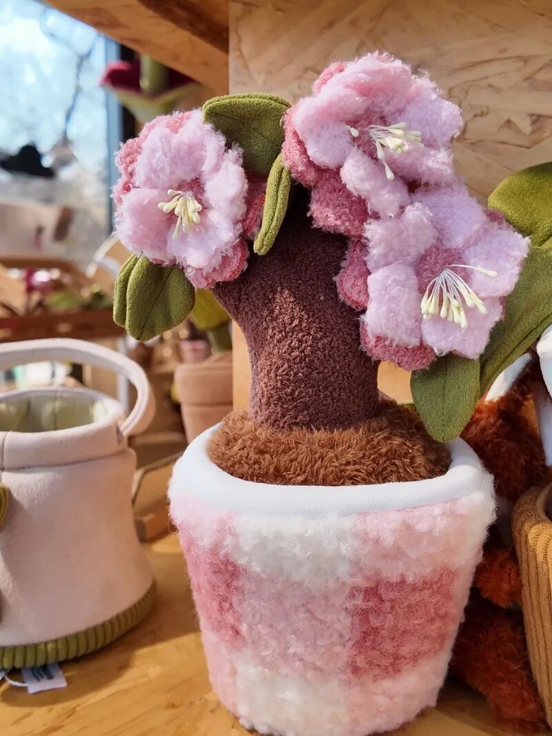 国家植物园的春花排期来了——